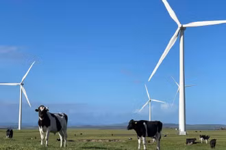 Quá trình khử carbon nhanh chóng hệ thống điện đóng vai trò quan trọng cho sự thành công của quá trình chuyển đổi năng lượng sạch. (Ảnh: ABC)