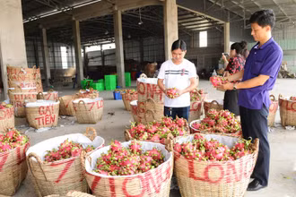 Cần nâng cao chất lượng nông sản xuất khẩu sang Trung Quốc.
