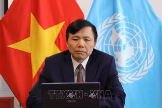 Đại sứ Đặng Đình Quý, Trưởng Phái đoàn thường trực Việt Nam tại Liên hợp quốc. (Ảnh: TTXVN)