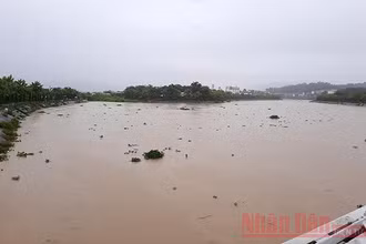 Nước sông Nậm Rốm ở thành phố Điện Biên dâng cao trong đợt mưa lũ ngày 6-8 vừa qua (Ảnh: Lê Lan).