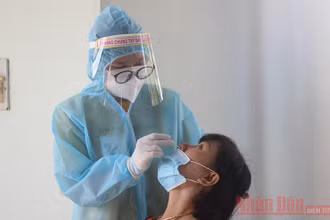 Trong ngày 20-8, Quảng Nam tiến hành lấy 4.250 mẫu xét nghiệm liên quan đến các ca bệnh trên toàn tỉnh.