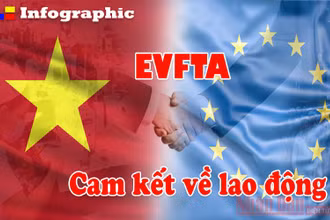 [Infographic] Cam kết về lao động trong EVFTA