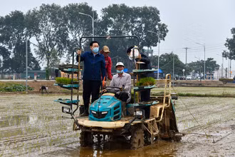 Đồng chí Vương Đình Huệ, Ủy viên Bộ Chính trị, Bí thư Thành ủy lên máy cấy đi cấy cùng bà con nông dân tại cánh đồng xã Dị Nậu, huyện Thạch Thất. Ảnh: DUY LINH