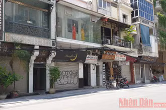 Đề xuất hỗ trợ hướng dẫn viên du lịch mất việc vì Covid-19