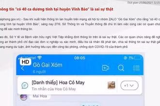 (Ảnh chụp màn hình website https://haiphong.gov.vn/ )