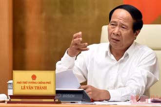Phó Thủ tướng Lê Văn Thành phát biểu tại cuộc họp. (Ảnh: Đức Tuân)