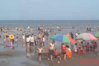 Những năm gần đây, bãi biển cồn Vành (tỉnh Thái Bình) trở thành điểm đến khá hấp dẫn với du khách. (Ảnh: MAI TÚ)