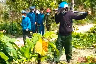 Hiện trường vụ hành hung nhân viên bảo vệ rừng.