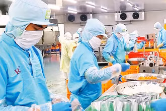 Lao động tại Công ty Sài Gòn Food. (Ảnh minh họa: Quang Quý)