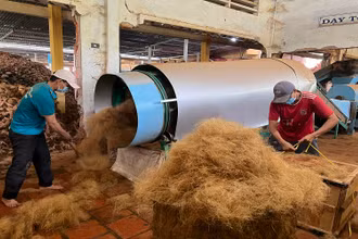 Hợp tác xã nông nghiệp Định Thủy giải quyết việc làm cho nhiều lao động ở nông thôn.