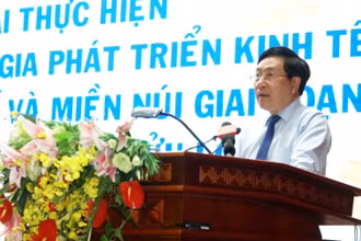 Phó Thủ tướng Thường trực Chính phủ Phạm Bình Minh phát biểu chỉ đạo Hội thảo.