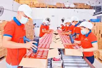 Lao động tại doanh nghiệp Sông Hương Food, TP Hồ Chí Minh. (Ảnh minh họa: Phương Vy)