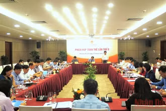 Các đại biểu ý kiến thẩm tra dự án Luật Thanh tra (sửa đổi).