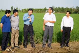 Đoàn công tác Thăm Trung tâm lai tạo giống của Kỹ sư Hồ Quang Cua.