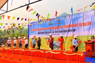 Khởi công nhà máy chế biến quế hữu cơ xuất khẩu tại huyện Văn Bàn - Lào Cai.