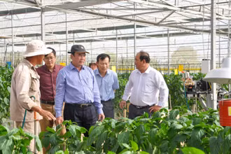 TS Phạm S (đứng giữa) thực tế tại nhà vườn sản xuất nông nghiệp công nghệ cao huyện Đơn Dương, Lâm Đồng.