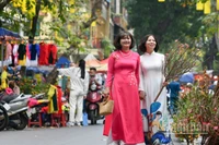 Lượng tìm kiếm đối với các điểm đến trong nước cho kỳ nghỉ Tết Nguyên đán 2026 tăng mạnh. (Ảnh: THÀNH ĐẠT)