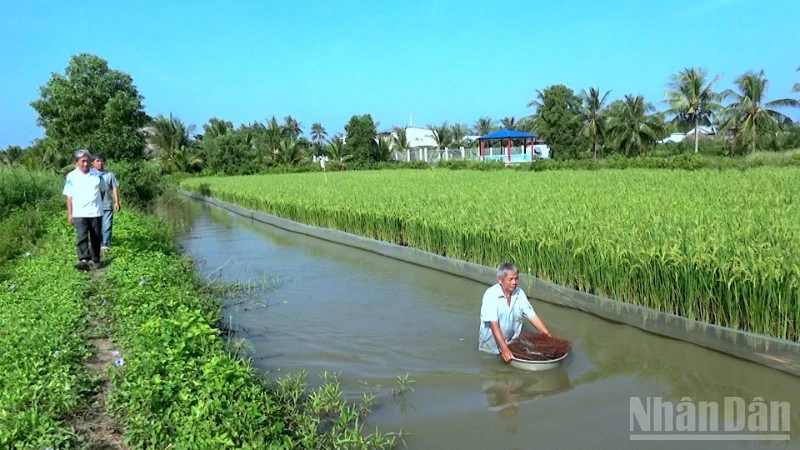 Cà Mau Tổ Chức Cuộc Thi Gạo Ngon Để Thúc Đẩy Nông Nghiệp Xanh Và Bền Vững