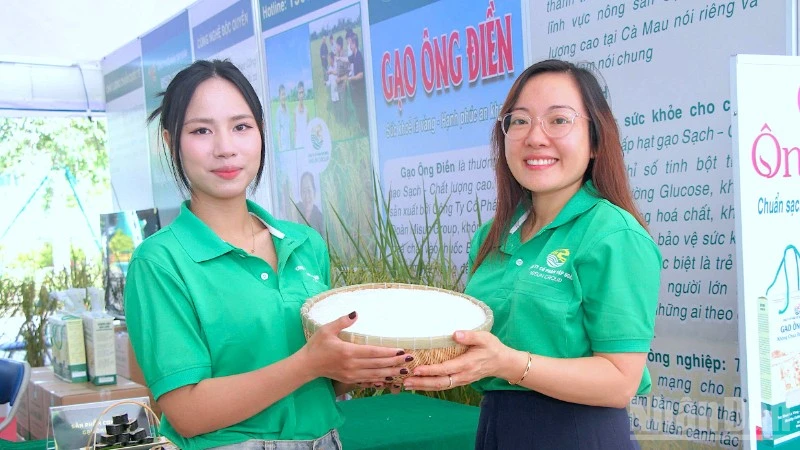 Cà Mau chuyển mình nhờ lúa hữu cơ sinh thái, giá bán cao gấp đôi