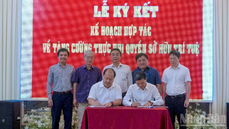 Sò huyết Cà Mau được cấp chỉ dẫn địa lý, cơ hội nâng tầm thương hiệu