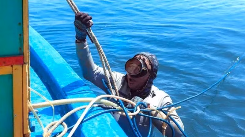 Ảnh minh họa (Ảnh: BÙI BIỀN)