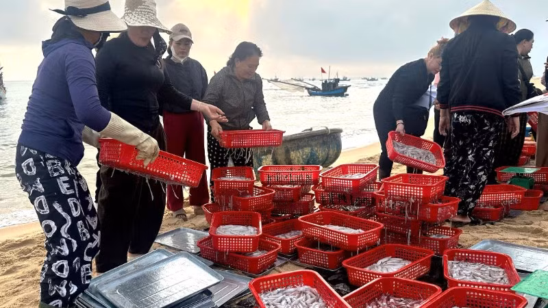 Chợ cá Nhân Trạch họp bên mép sóng tấp nấp mua bán hải sản buổi sáng sớm.