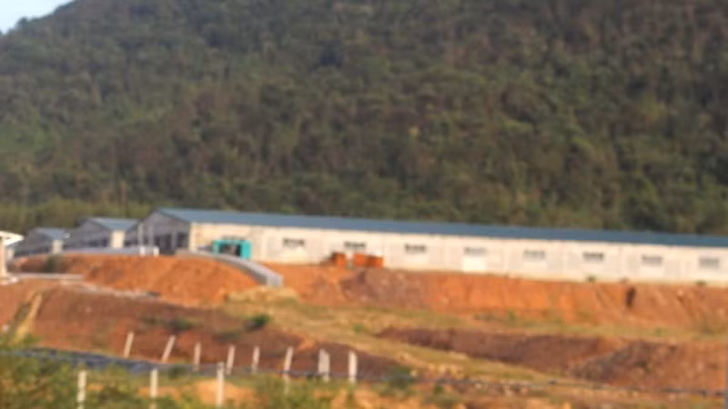 Trang trại nuôi lợn của Công ty Bình Chi Nam Hưng hoạt động khi chưa được cấp giấy phép môi trường.