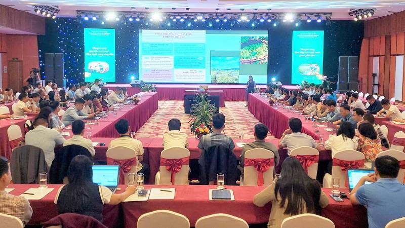 Hội nghị tập huấn “Bàn giải pháp nâng cao hiệu quả hoạt động khuyến nông cơ sở trong mô hình tổ chức chính quyền địa phương 2 cấp” được tổ chức tại tỉnh Quảng Trị.