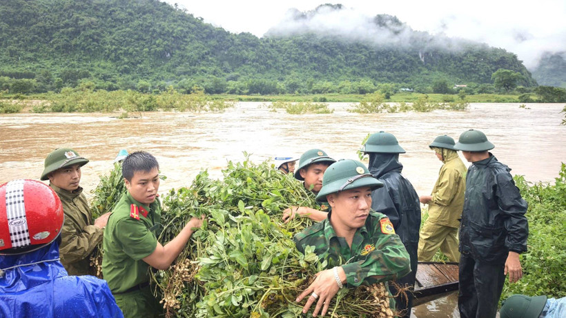 Công an xã Trường Sơn phối hợp với Đồn Biên phòng Làng Mô giúp dân thu hoạch lạc "chạy" lũ.