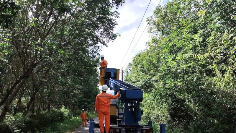 Công nhân Công ty Điện lực Quảng Trị cưa cắt xây có nguy cơ gãy đổ vào đường dây điện ở xã Bố Trạch.