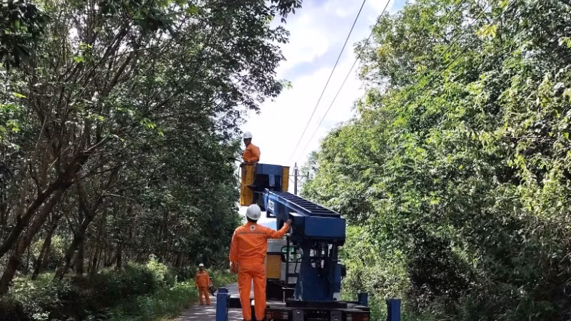 Công nhân Công ty Điện lực Quảng Trị cưa cắt cây có nguy cơ gãy đổ vào đường dây điện ở xã Bố Trạch.