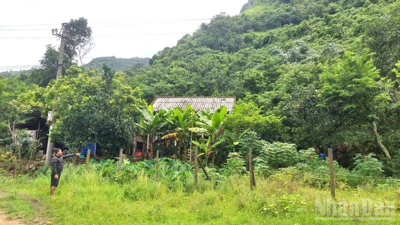 Một số hộ dân sống ngay dưới chân núi Cây Sú ở xã Trường Sơn luôn thấp thỏm sợ đá rơi xuống.