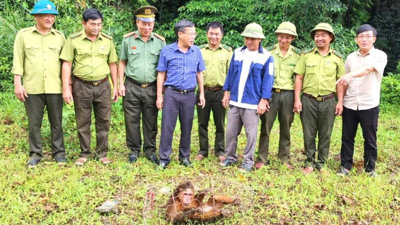 Lực lượng chức năng xã Trường Sơn tiếp nhận cá thể khỉ mặt đỏ do người dân giao nộp.