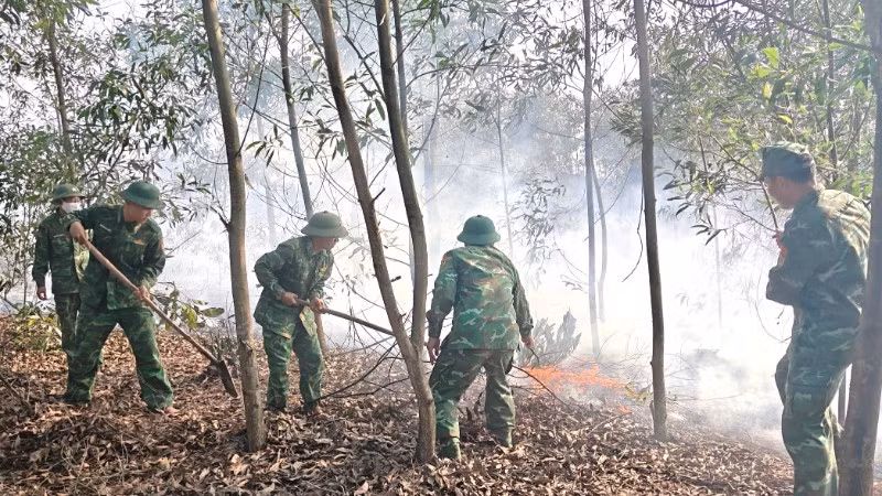 Đồn Biên phòng Hải An thuộc Bộ đội Biên phòng tỉnh Quảng Trị chữa cháy rừng tràm tại xã Mỹ Thủy chiều 1/4.