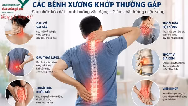 Giải mã sức hút phương pháp “Khai thông cột sống” của Lão Nhà Quê