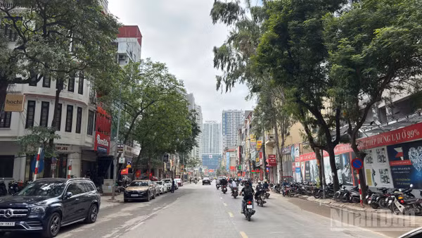 [Ảnh] Hà Nội: Diện mạo mới trên tuyến phố Nguyễn Tuân