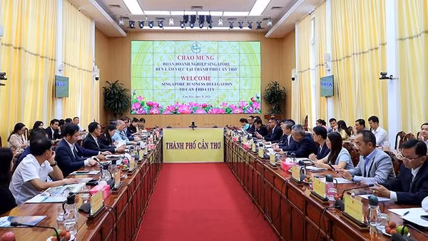 Lãnh đạo thành phố Cần Thơ tiếp đoàn doanh nghiệp Singapore tìm hiểu cơ hội đầu tư.