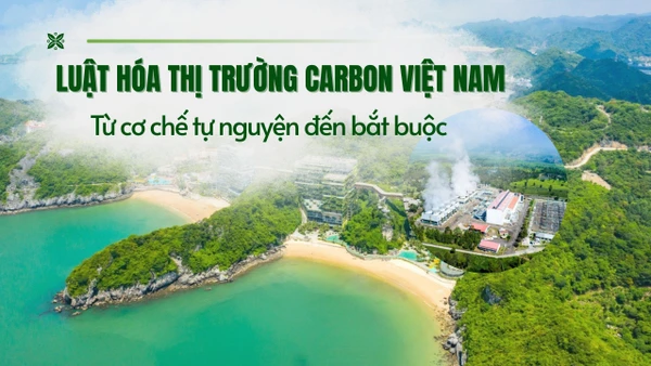 Luật hóa thị trường carbon Việt Nam: Từ cơ chế tự nguyện đến bắt buộc.