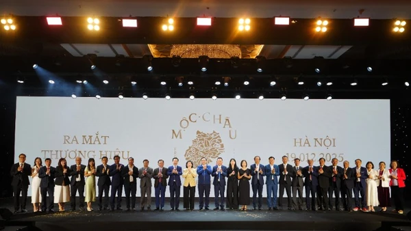 Khoảnh khắc “bình minh thương hiệu” khi logo Mộc Châu Creamery hiện lên trong ánh sáng dịu dàng, như một lời hẹn mở ra hành trình mới của dòng sữa truyền đời.