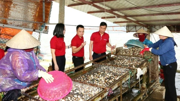 Hợp tác xã nuôi trồng, thu mua, xuất nhập khẩu thủy hải sản Loan Hoan (Lộc Hà, Hà Tĩnh) nhờ nguồn vốn vay từ Agribank đã có thêm cơ hội mở rộng quy mô sản xuất. (Ảnh: PV)