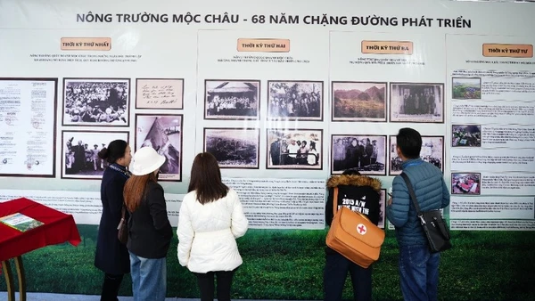 Hành trình gần 7 thập kỷ của những "nghệ nhân sữa" Mộc Châu