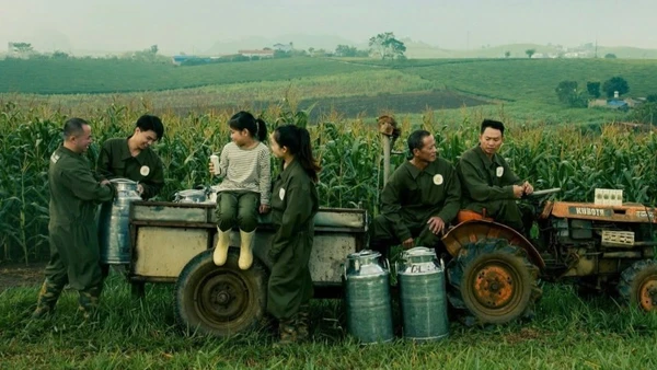 Giữa lớp sương mờ bảng lảng, cao nguyên Mộc Châu hiện lên như bản hòa ca thiên nhiên, nơi con người và đất trời cùng gìn giữ di sản gần 70 năm nghề sữa.