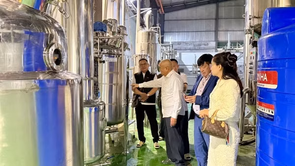 Hệ thống sản xuất Nam dược được đầu tư theo hướng hiện đại tại Công ty trách nhiệm hữu hạn Y Dược Vi Diệu Nam