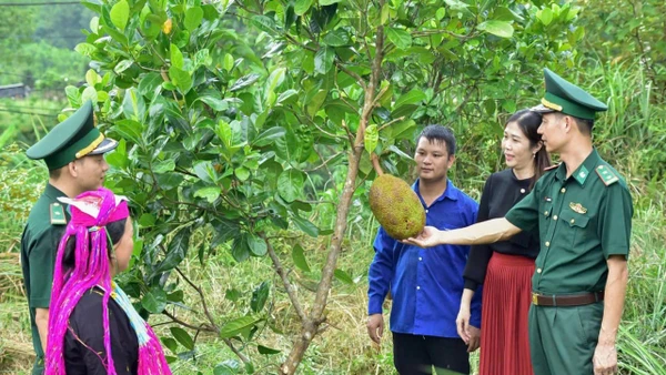 Cán bộ Đồn Biên phòng Bắc Sơn triển khai mô hình “Vườn kiểu mẫu” giúp dân phát triển kinh tế-xã hội. (Ảnh: Bộ đội Biên phòng tỉnh Quảng Ninh)