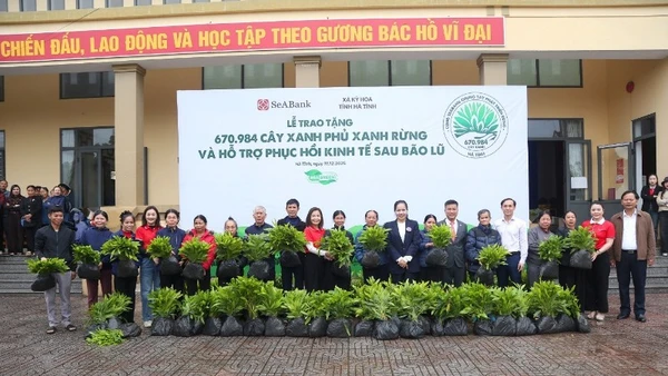 SeABank hỗ trợ trồng gần 671 nghìn cây xanh tại Hà Tĩnh, vượt mục tiêu 1 triệu cây xanh trên cả nước