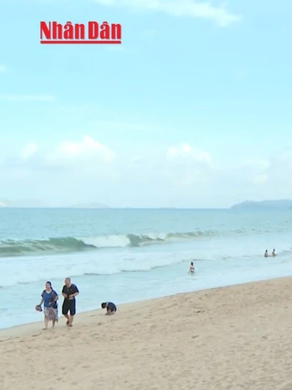 [Video] Từ ngày 25/8 sẽ thu phí tham quan vịnh Nha Trang 