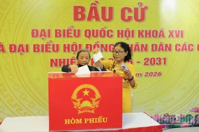 Cử tri phường Hải Châu bỏ phiếu bầu cử.