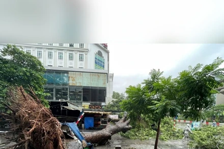 Bản tin Thời sự sáng 23/7: Không chủ quan khi bão số 3 hạ cấp, vẫn có mưa to gây lũ quét, sạt lở