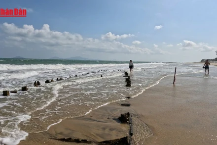 [Video] Đà Nẵng: Mục sở thị "báu vật" lộ diện trên biển An Bàng 