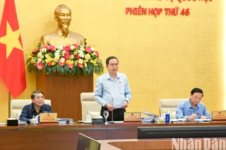 Chủ tịch Quốc hội Trần Thanh Mẫn phát biểu khai mạc phiên họp. (Ảnh: DUY LINH)